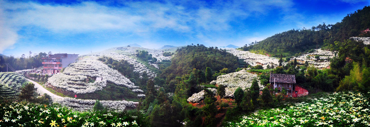 hjc888黄金城·(中国游)官方网站